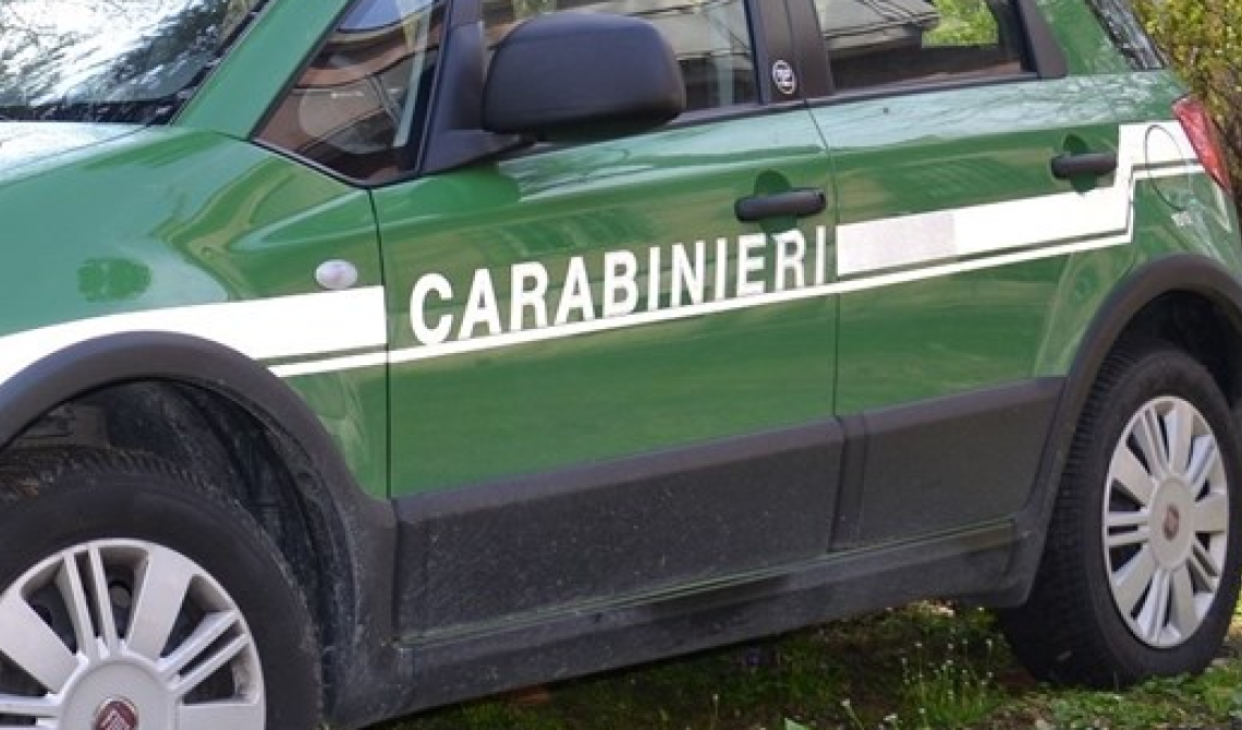 carabinieri forestali