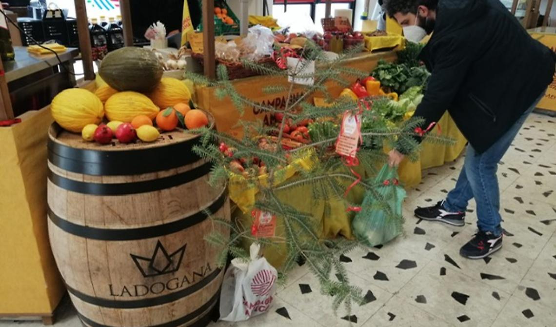Il buon Natale di Coldiretti con gli "abeti della solidarietà" a Foggia