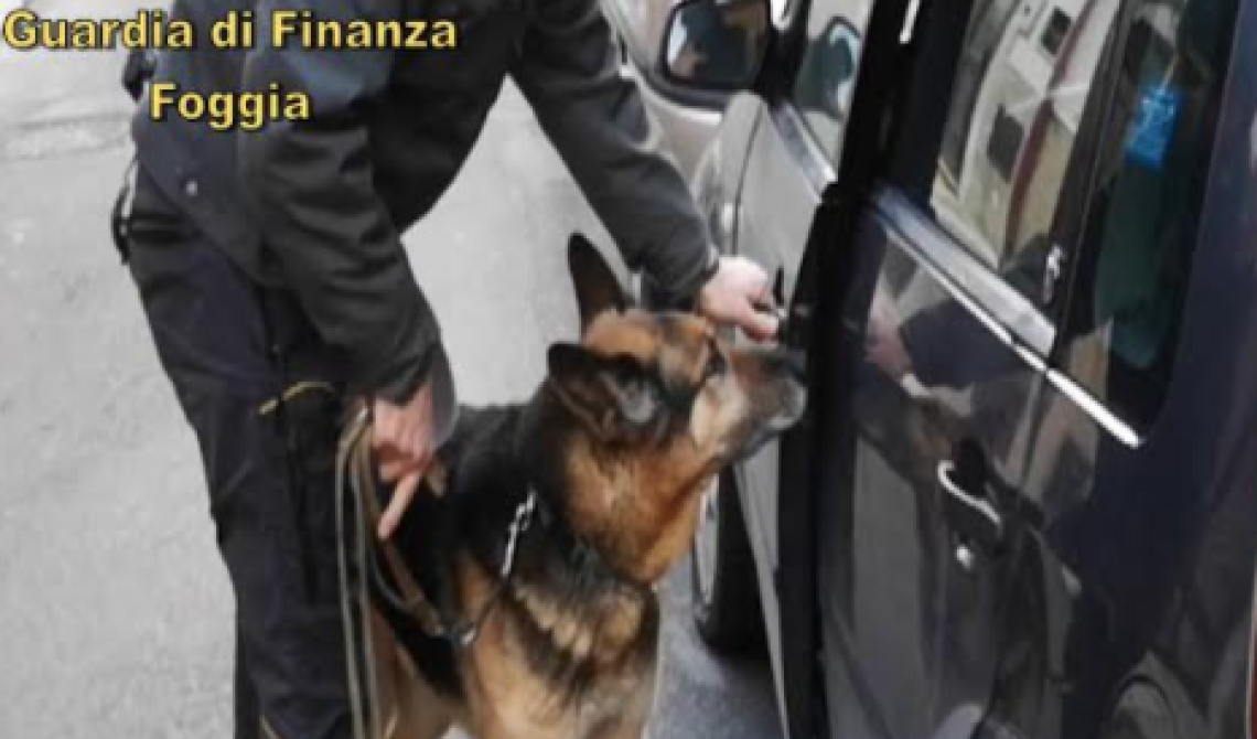 Dio perdona, Bagaro no: così il pastore tedesco della GdF fa arrestare a Cerignola il corriere della droga