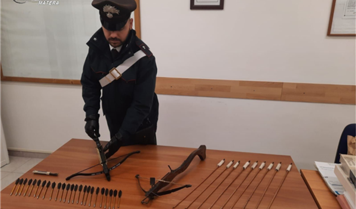 Garaguso, uccidono una mucca con una balestra perché pascolava abusivamente nel loro fondo agricolo: denunciati