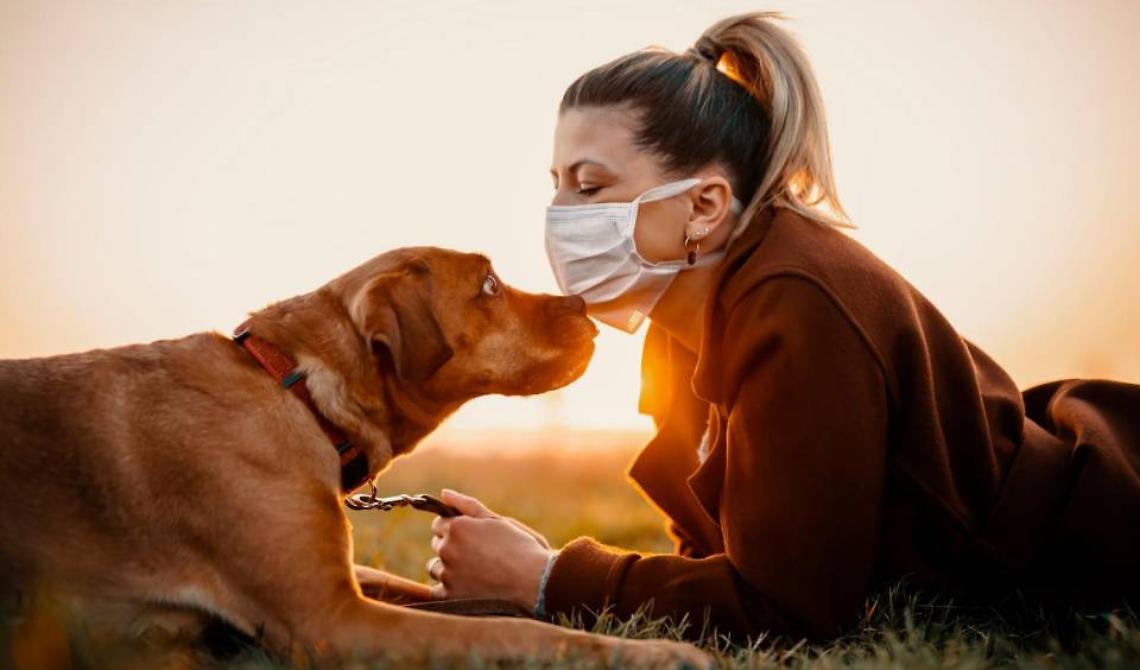 Quando il padrone finisce per somigliare al proprio cane, che c'azzecca il Covid?