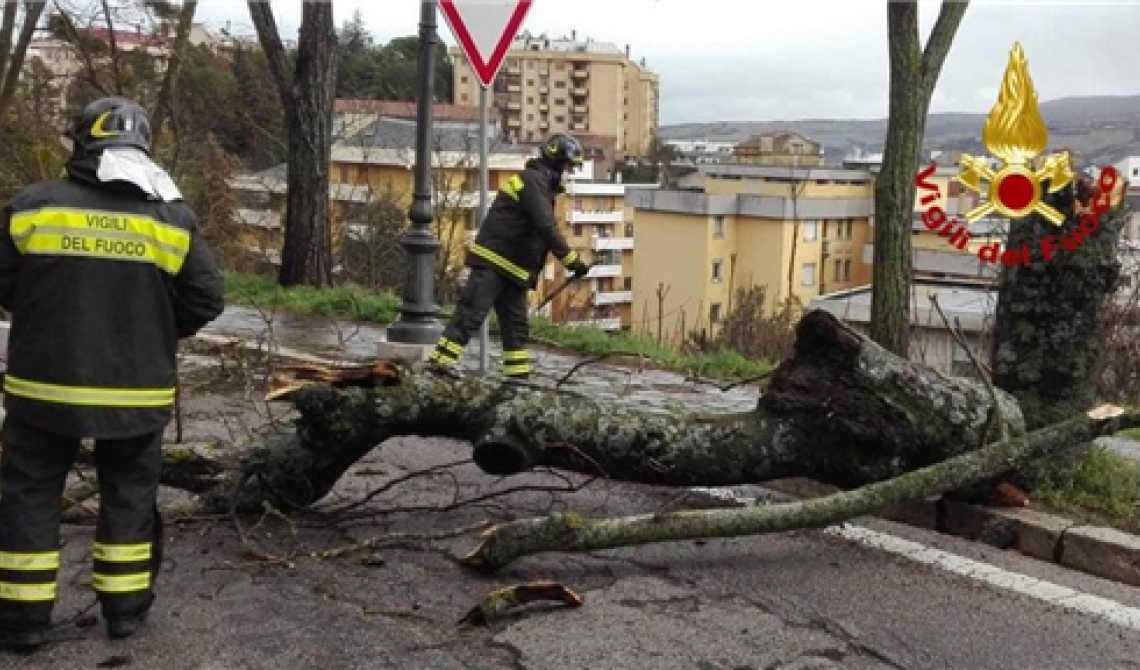 Potenza, albero sulle auto e allagamenti