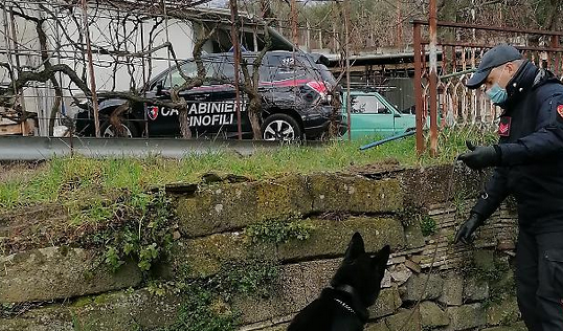 Rionero, sequestrato un arsenale di armi da guerra: erano detenute da un ottantatreenne