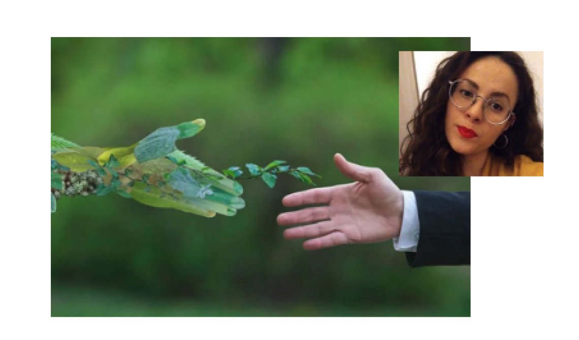 Il nuovo ministero della Transizione ecologica visto da una studentessa di Scienze forestali