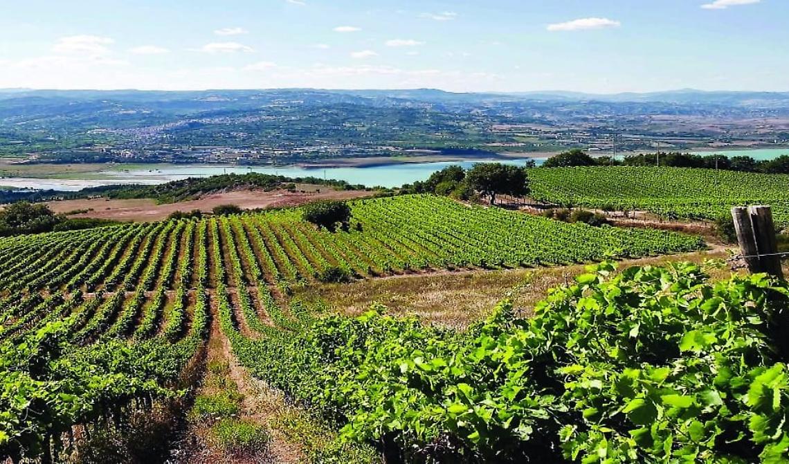 La Tenuta Marino guadagna per il secondo anno di seguito il premio Città di Pramaggiore