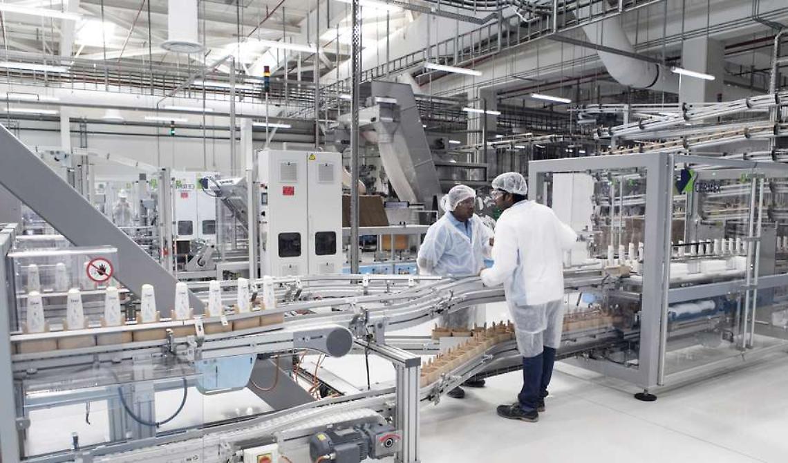 Le stime del Sistema Informativo Excelsior. "Buone notizie" per il mondo del lavoro lucano