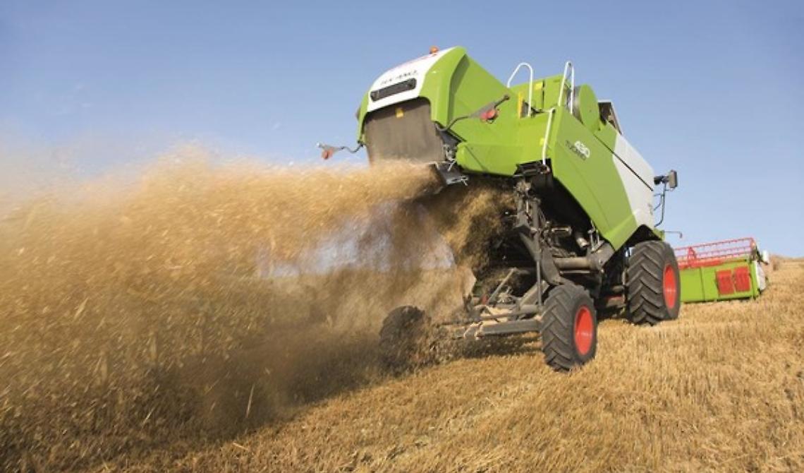 Quest'anno meno grano, ma di ottima qualità: da sola la provincia di Foggia produce 7 dei 9,5milioni di quintali della Puglia