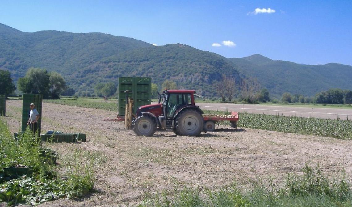 Basilicata: fino al 31 agosto stop lavoro agricolo da 12.30 alle 16. Bardi: «Provvedimento di civiltà»