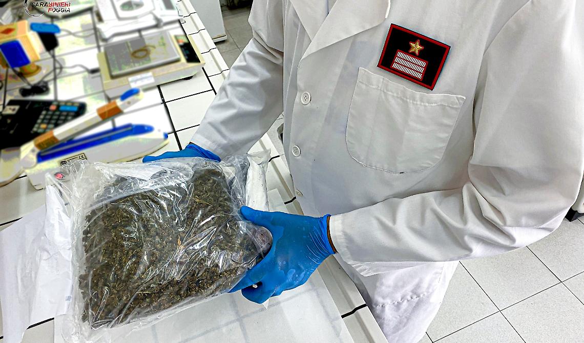 Sferzata di Ferragosto dei Carabinieri sul Gargano tra arresti, locali sanzionati e controlli a tappeto
