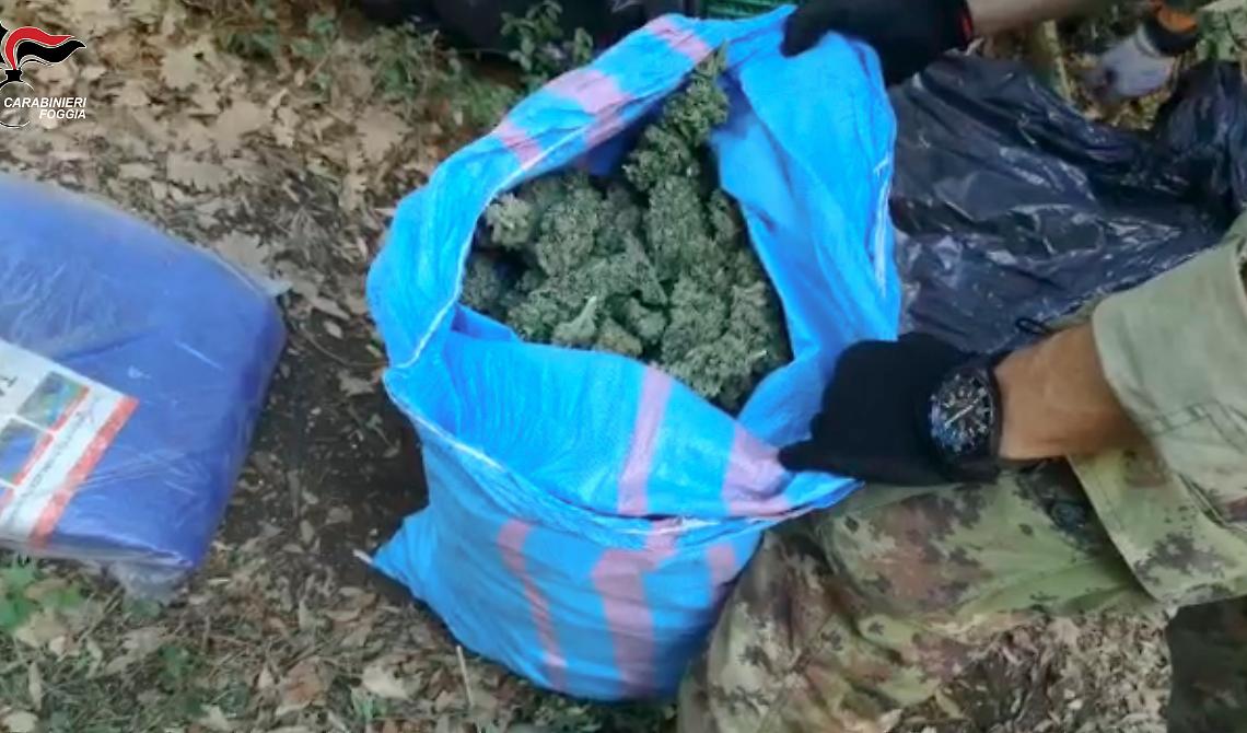 Obbligo di dimora per un senegalese arrestato a San Giovanni Rotondo dai Carabinieri con 7 Kg di marijuana
