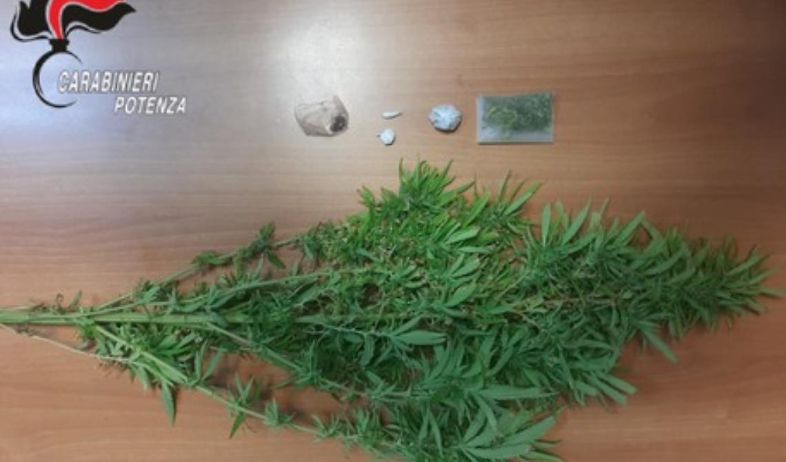 Cannabis sul balcone. Eroina, cocaina e hascisc: arrestato 48enne a Sant'Arcangelo