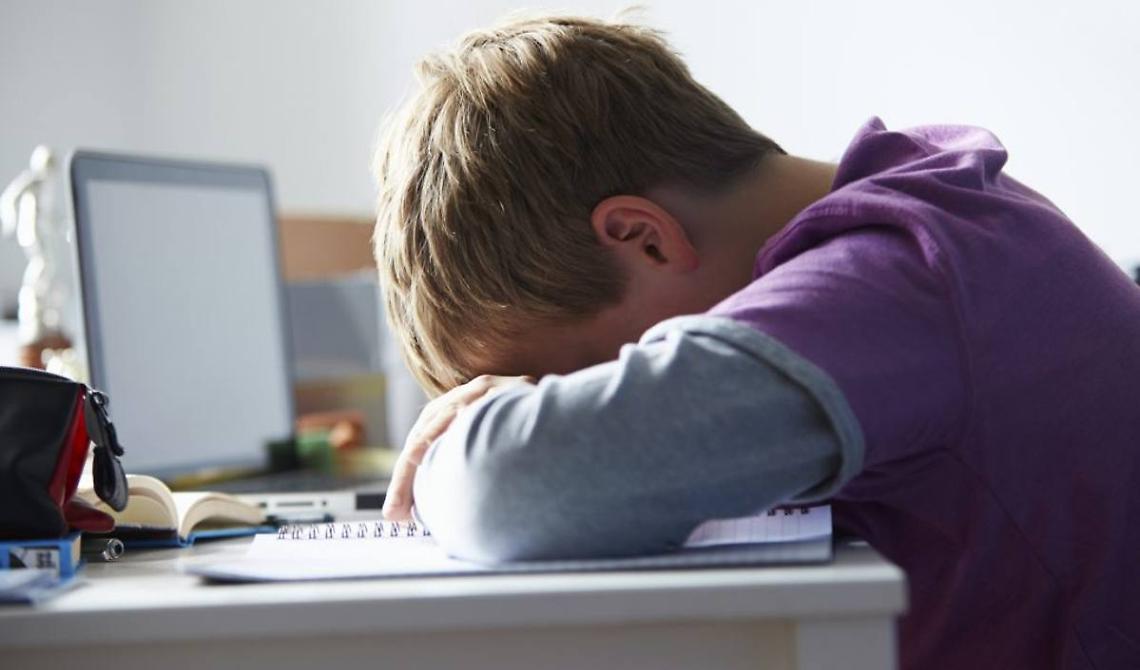 Il Tar Puglia annulla la bocciatura di uno studente di liceo: colpa della Dad che lo ha penalizzato