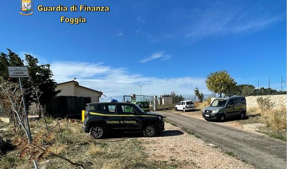 Anche ex dipendenti comunali indagati dalla GdF per l'affidamento sospetto del canile di San Giovanni Rotondo