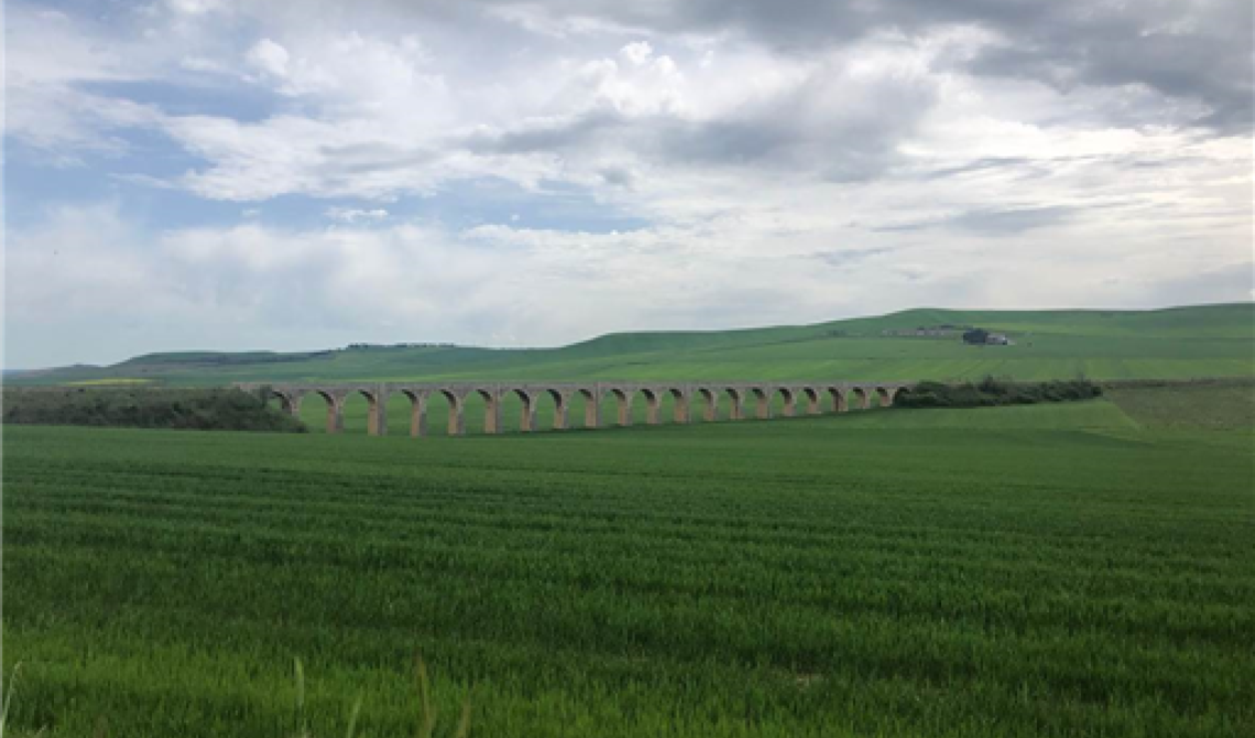 Da Gioia del Colle a Rocchetta Sant'Antonio, il lungo ponte di Vasco Rossi per la Puglia