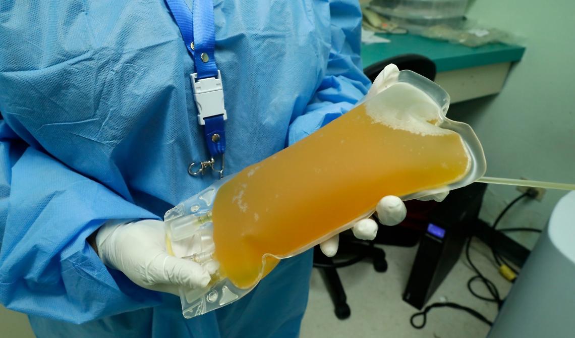 L'Oms raccomanda di non usare il plasma dei guariti Covid nei casi gravi: «Cura costosa e inutile»