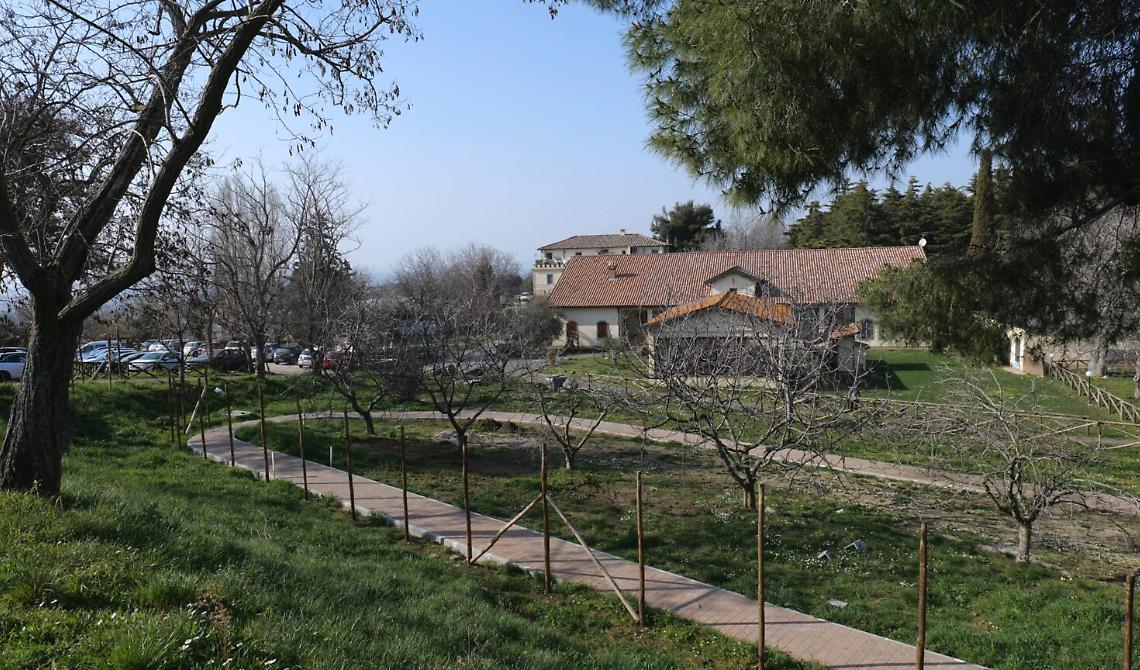 Agriturismi, rispetto al 2019 aumentano di 484 unità ma crolla il valore medio