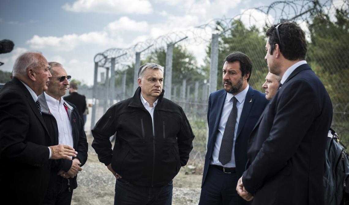 Salvini è pronto a partire per l'Ucraina: missione di pace di pace con Orban 