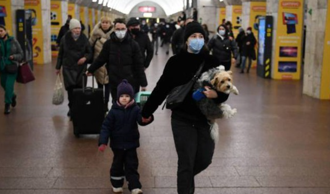 Ucraini in fuga con gli amici a quattro zampe , l'Italia deroga il Pet passport 