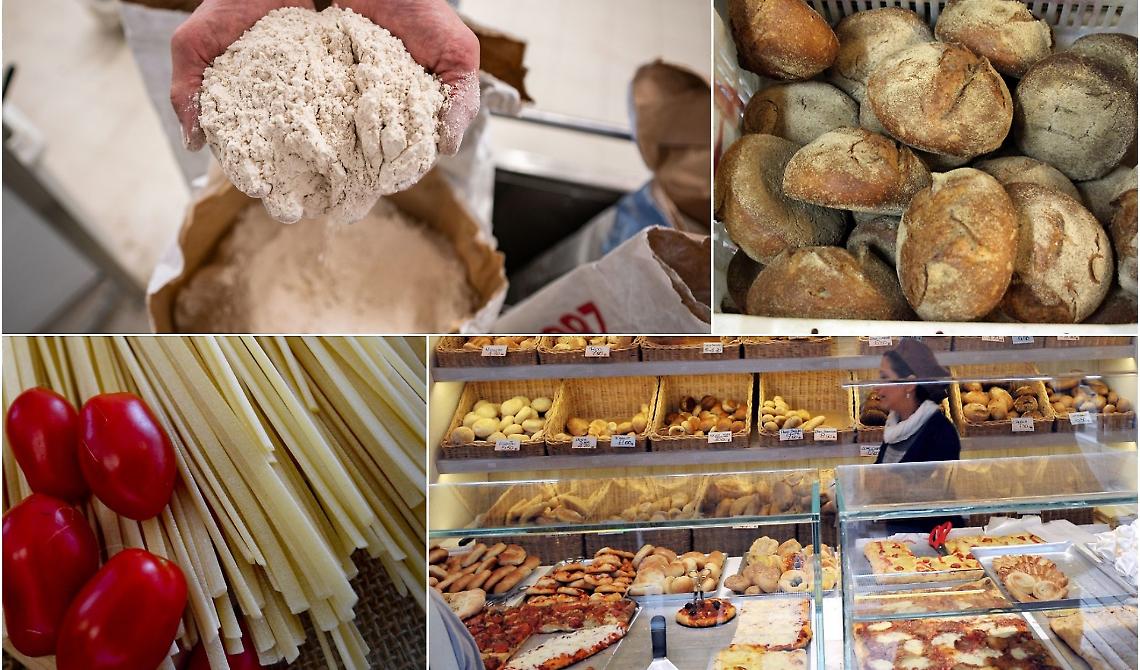 Ucraina, allarme di Coldiretti: il prezzo del grano a livelli record, ai massimi dal 2008 