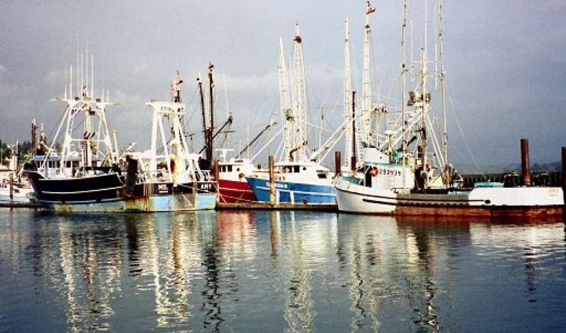 In Molise 500 pescatori alla deriva per il caro benzina, l'allarme del sindaco di Termoli: «Situazione insostenibile»