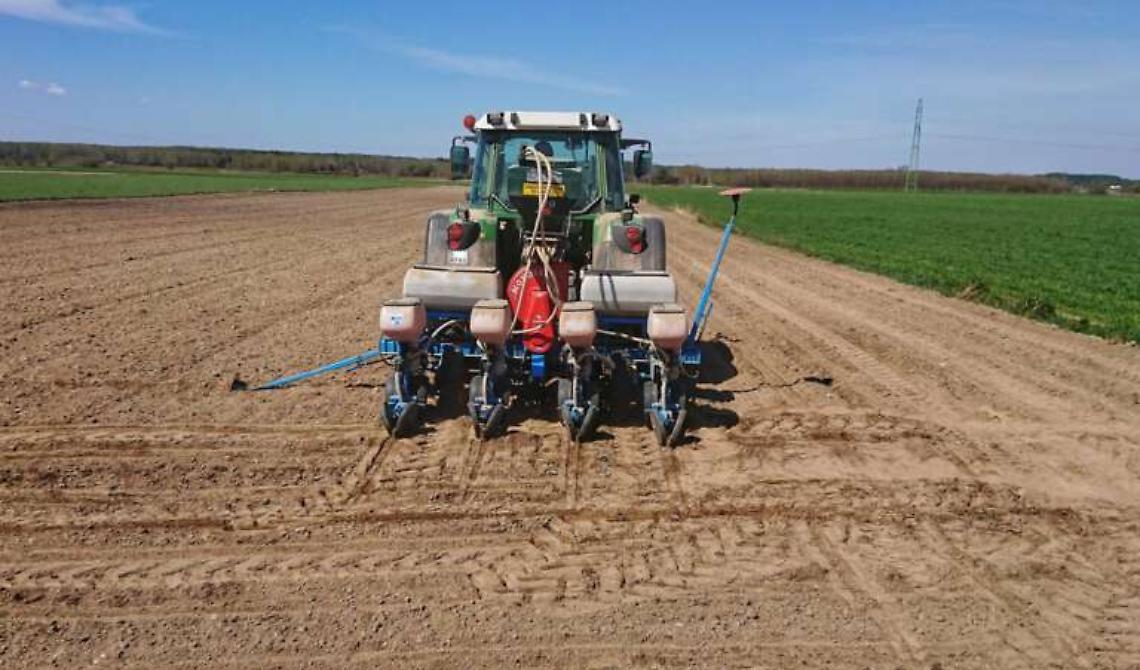 Agricoltura italiana al collasso: debiti per 41 miliardi e il 30 per cento delle aziende lavora in perdita 