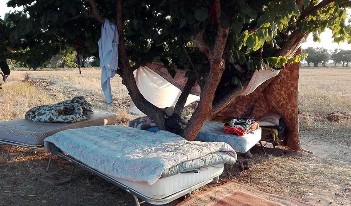 «Guadagno 38 euro al giorno, 7 su 7», la storia di Catalina lavoratrice rumena nei campi lucani