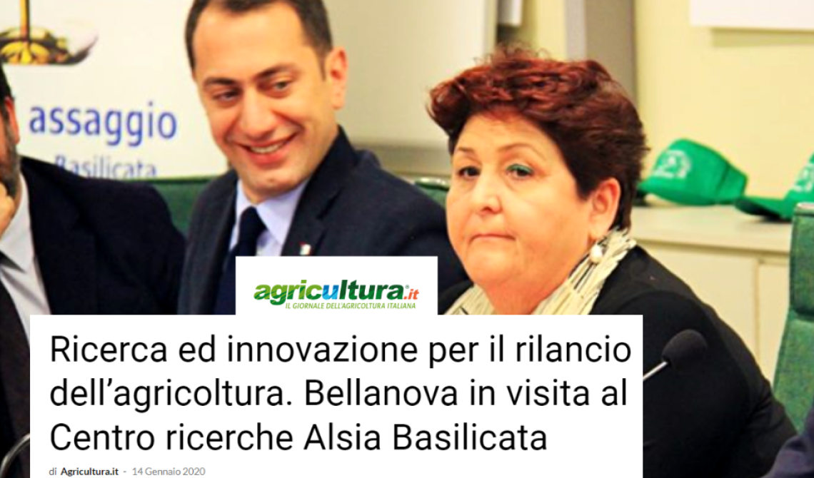 Che fine ha fatto il famigerato progetto di rilancio dell’Alsia?