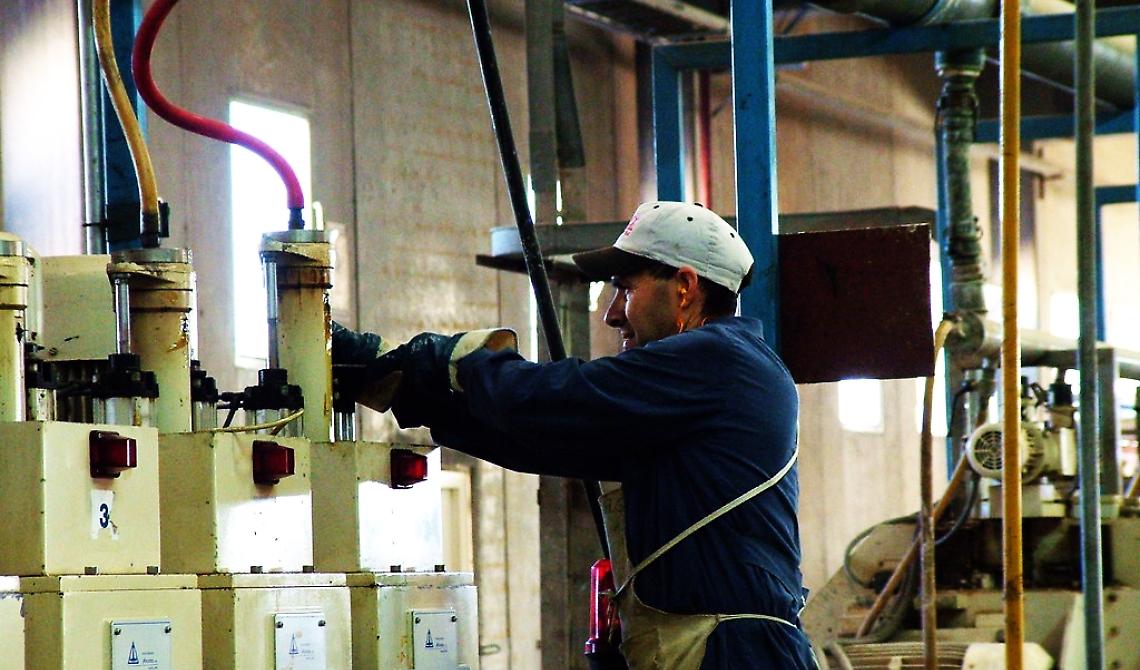 A maggio 2022 in Basilicata oltre tremila ingressi nel mondo del lavoro