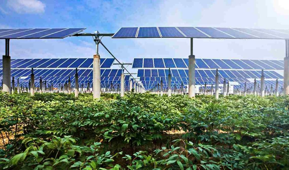 L'agricoltura concorre per l'8,5 per cento nella produzione di energia green