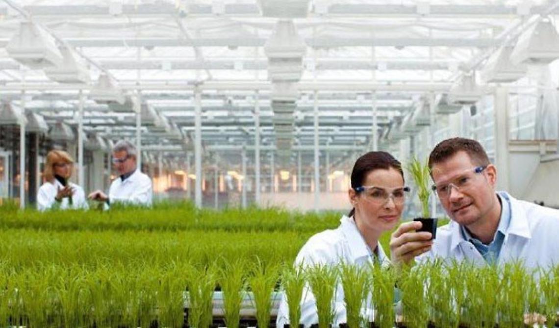 UniFg nella cordata per la nascita da 350milioni di euro del Centro Nazionale delle Nuove Tecnologie in Agricoltura