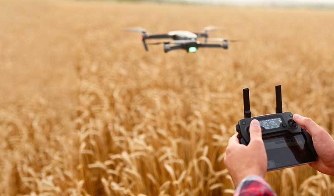 320 milioni del Pnrr: nasce Agritech, coinvolte 28 Università tra le quali l'Unibas 