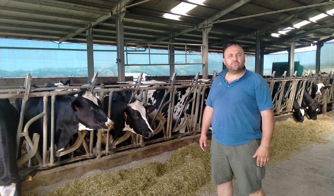 Bella, comparto zootecnico in seria difficoltà nell’agro del circondario