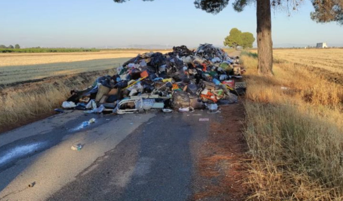 Strada provinciale invasa da rifiuti illegali a Cerignola, Gatta: "Criminali nemici della Capitanata"