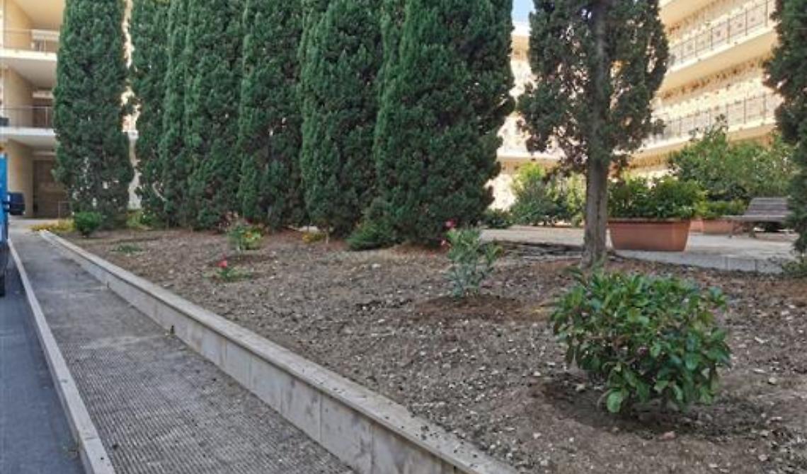 Nel cimitero di Molfetta trova requie anche un orto di frutta e verdura