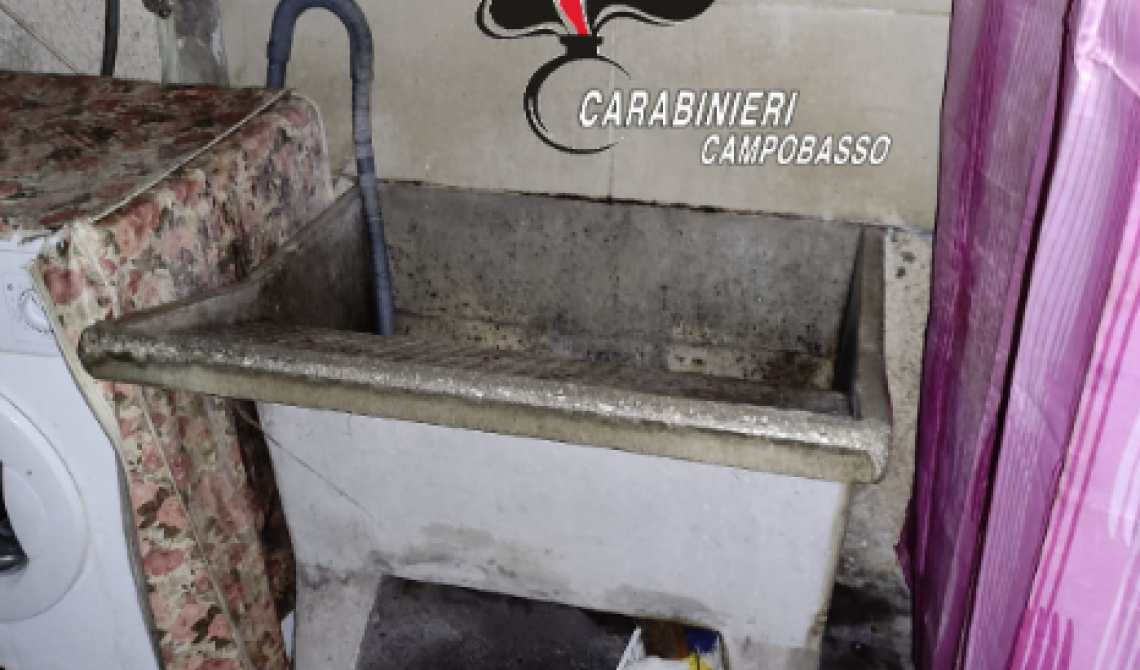 I Carabinieri liberano dopo 22 anni una giovane vedova ridotta in schiavitù dal fratello e dalla cognata in Molise