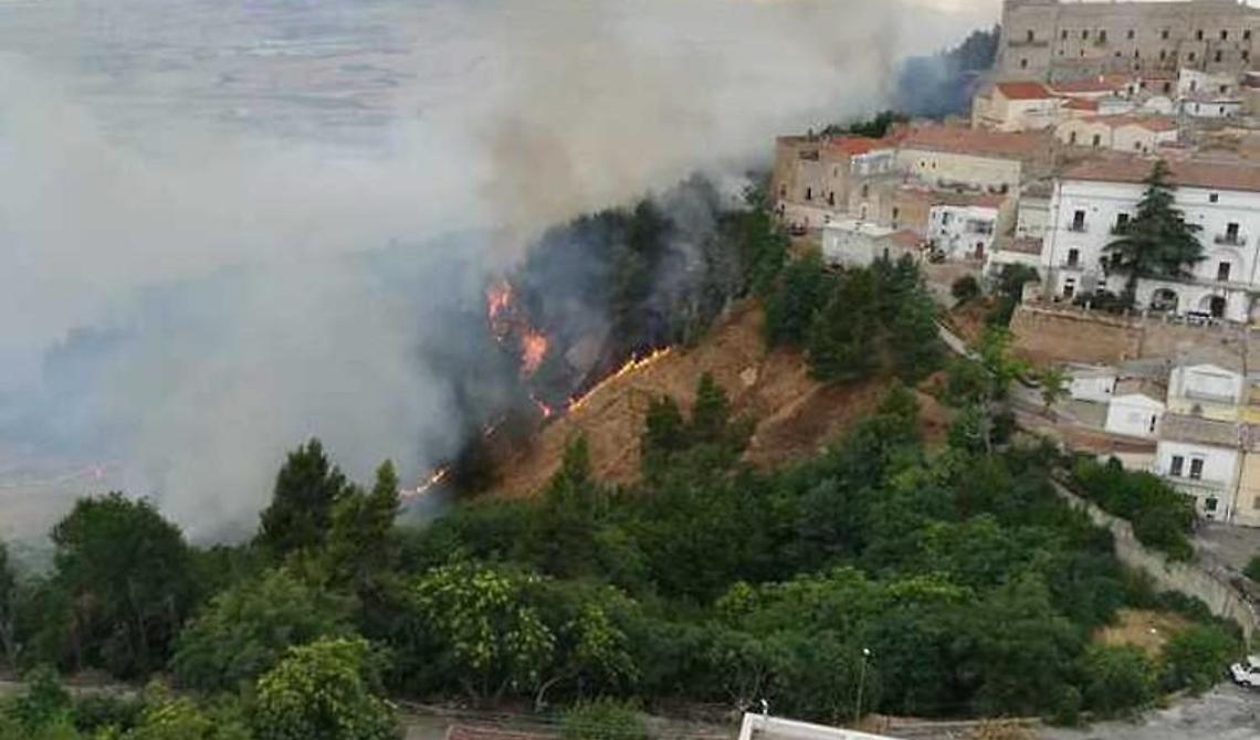 Arrestato 27enne per aver incendiato 40 ettari ad Ascoli Satriano