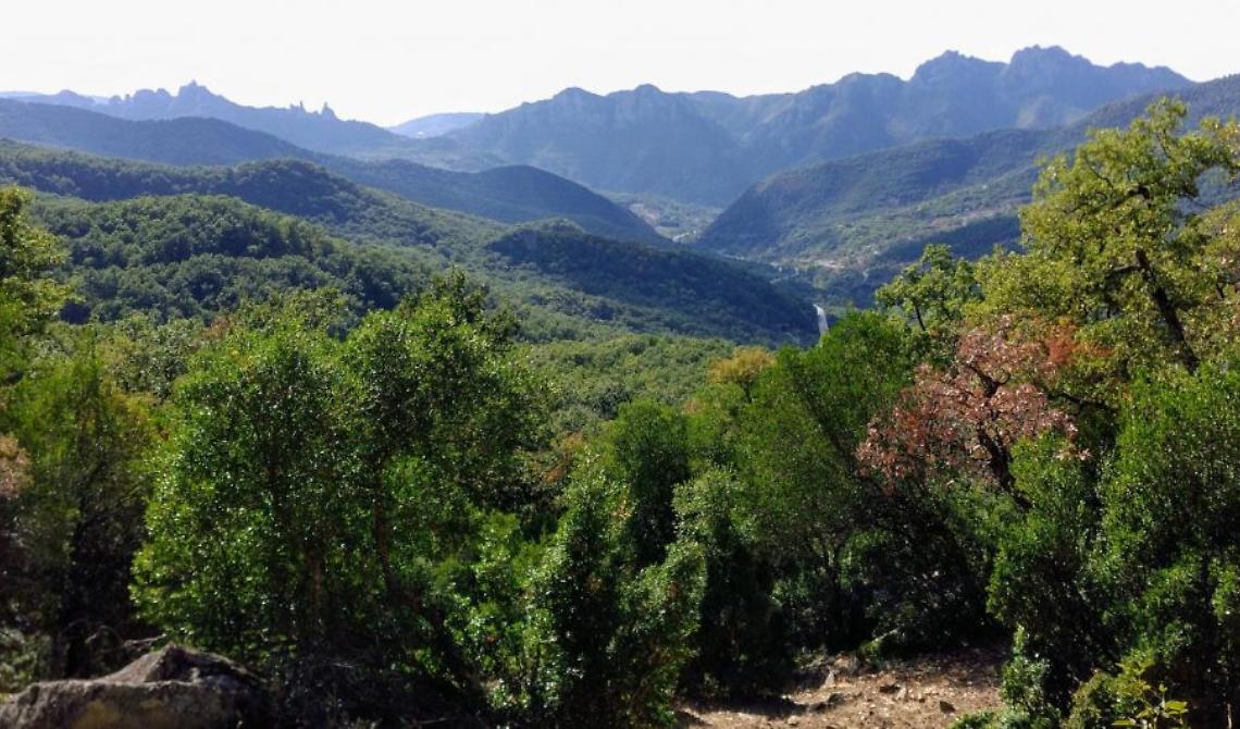 Mario Ungaro è il nuovo Presidente dell’Ente di gestione del Parco Naturale Gallipoli Cognato - Piccole Dolomiti Lucane