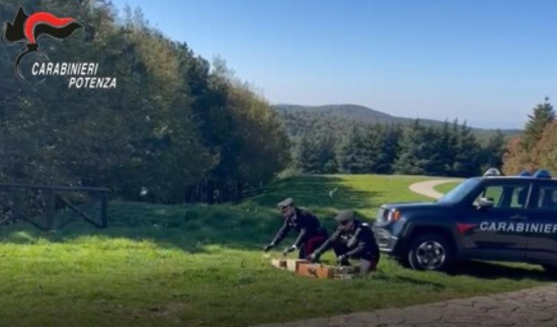 Bracconaggio: i Carabinieri della Stazione di Lagopesole acciuffano due uomini 