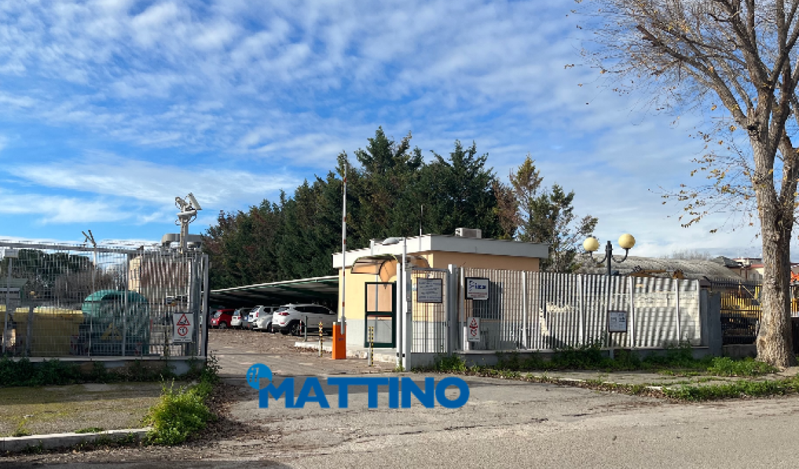 L'Istituto Zooprofilattico di Foggia chiamato a indagare sul killer delle tartarughe Caretta caretta a Barletta