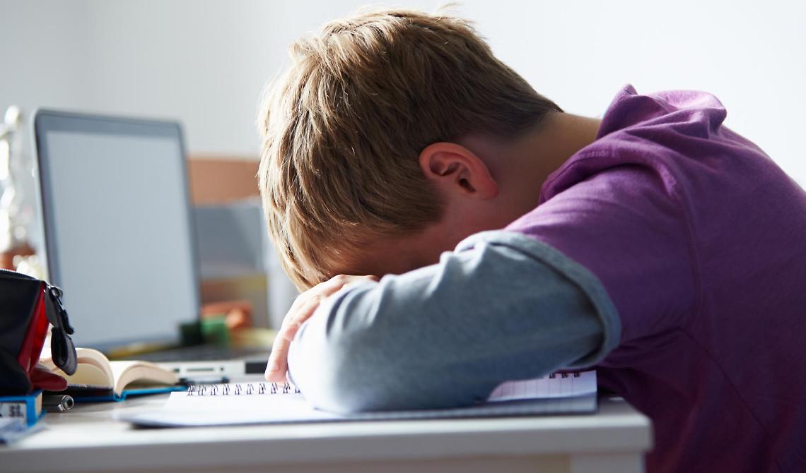 Potenza, Cyberbullismo: quando il problema è una fede diversa. Risorse in rete dai Testimoni di Geova