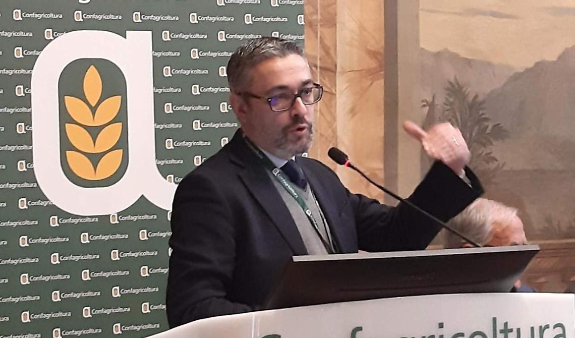 Denis Pantini (Nomisma): olio d'oliva "Cenerentola". In Puglia la produzione cala del 52%