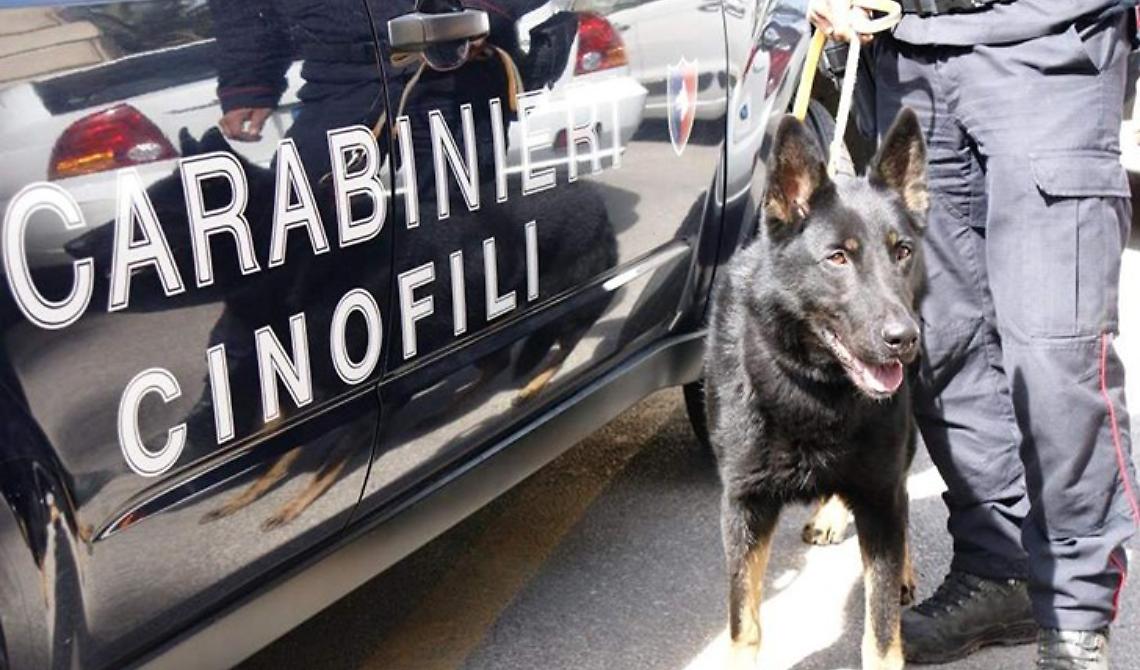 Spacciavano droga dandosi appuntamento su WhatsApp e Telegram: 6 arresti da parte dei Carabinieri tra Cerignola, Benevento e Avellino