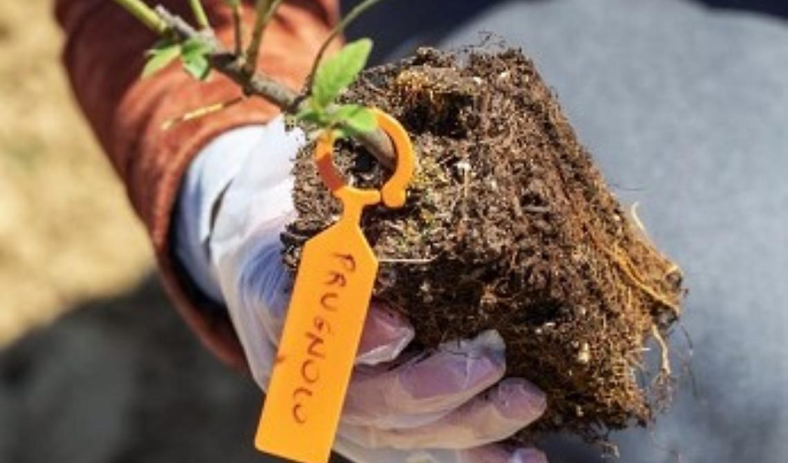 Biodiversità: così la climate tech 3Bee ha creato tre Oasi in Basilicata