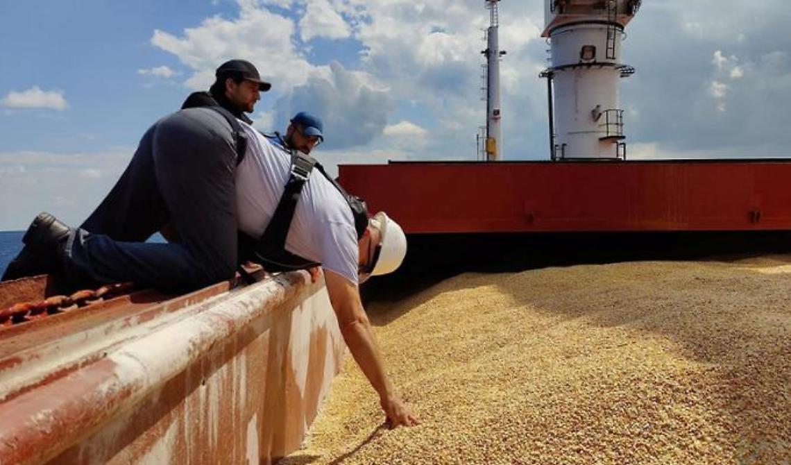 In Puglia è invasione, senza dazi, di grano dall'Ucraina: aumenti del 394% e crollo del prezzo del frumento pugliese, riferisce Coldiretti