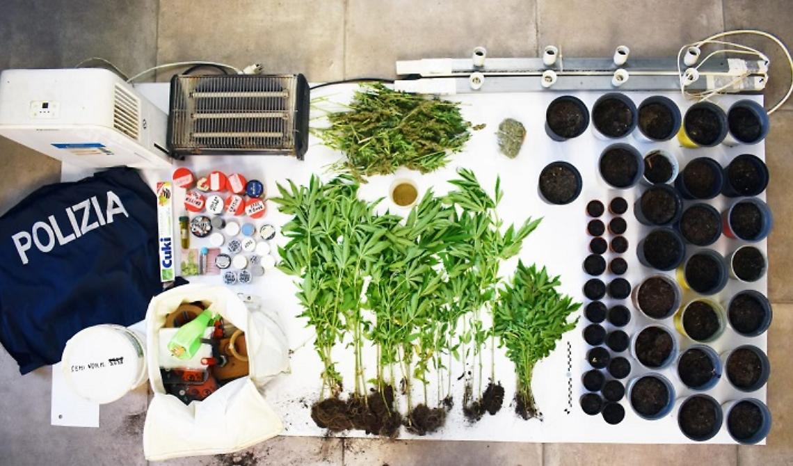 Coltivazione di marijuana a Marconia, operazione della Polizia a Pisticci: nei guai un 65enne