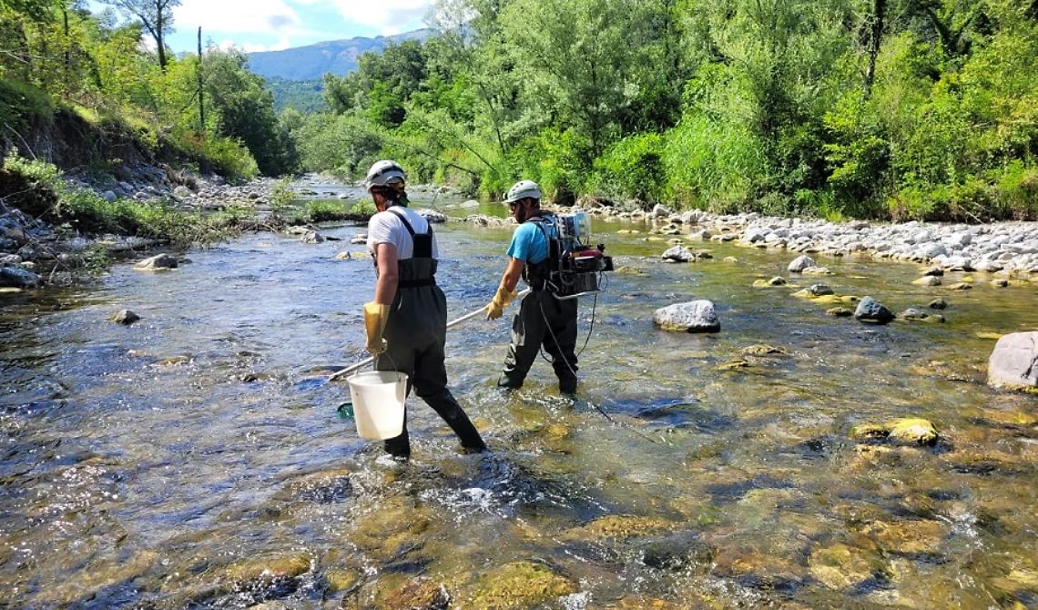 Contratti di fiume: al via il campionamento ittico del fiume Sinni