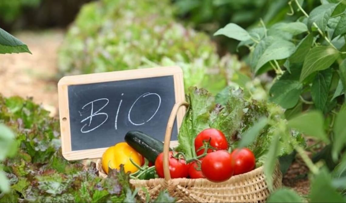 Innovazione in agricoltura: in Basilicata ben 150 mila ettari coltivati con metodi biologici 