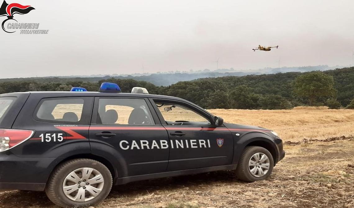 Dà fuoco alla riserva naturale di Margherita di Savoia, ma i Carabinieri di Manfredonia lo fermano spegnendo l'incendio