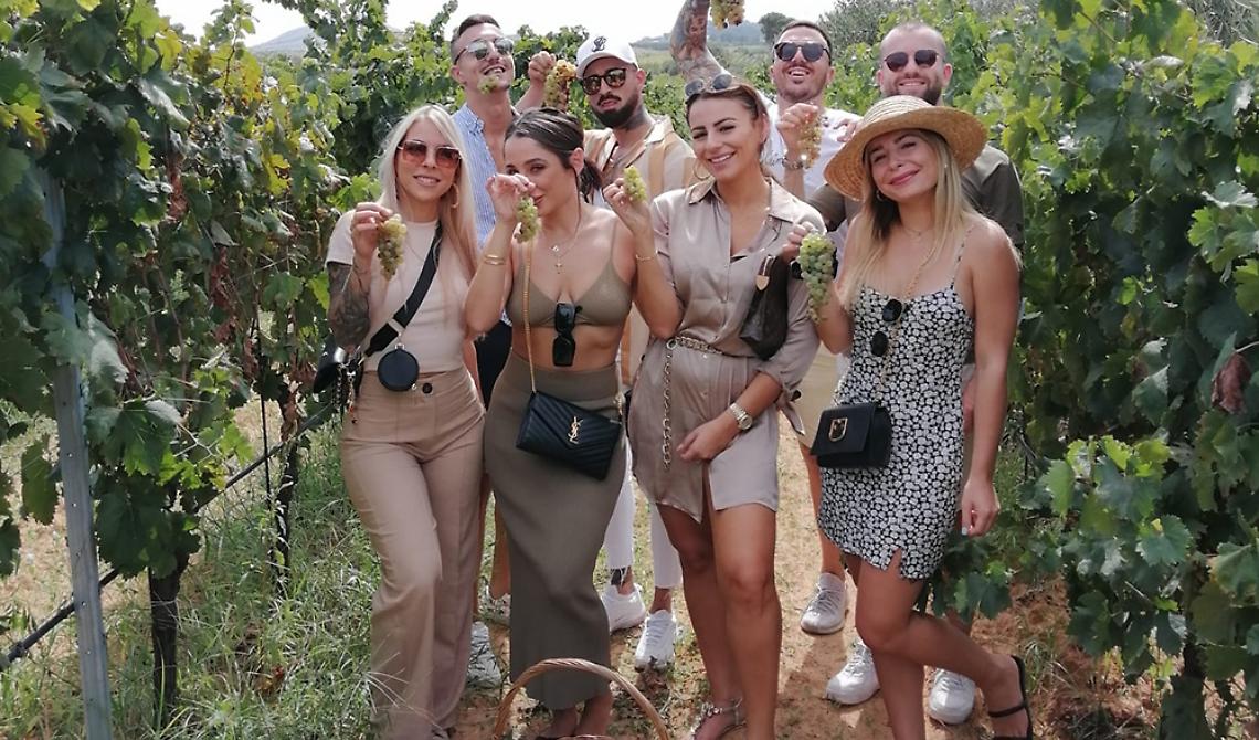 La vendemmia non "ubriaca" più Basilicata, Molise e Puglia: produzioni in calo anche del 45%