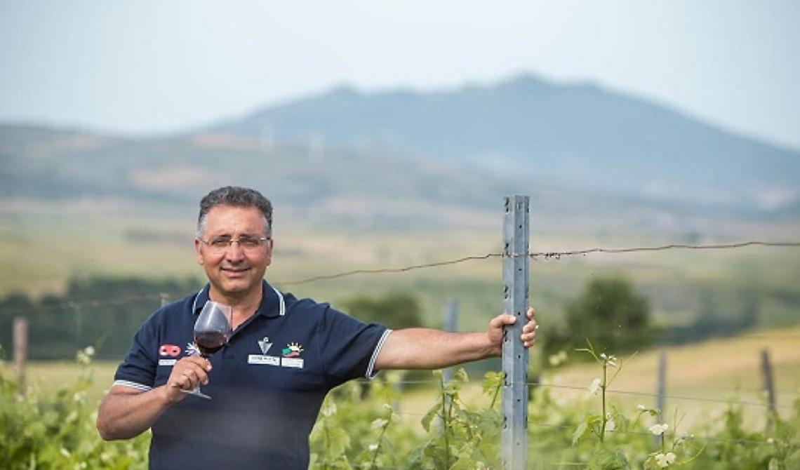Da Lavello alla Top 100 Migliori vini italiani 2024 di winemag.it: brilla la Cantina Vitis in Vulture